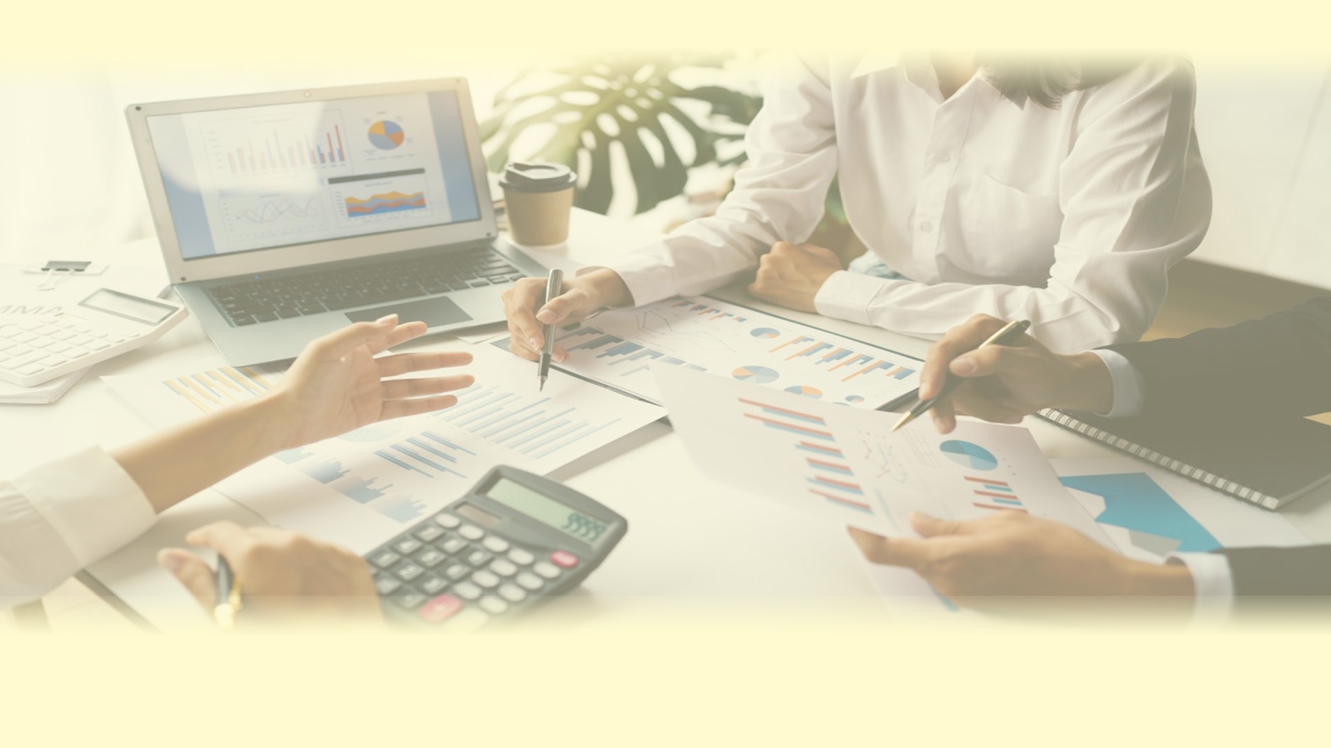 ارائه خدمات مالی و مالیاتی